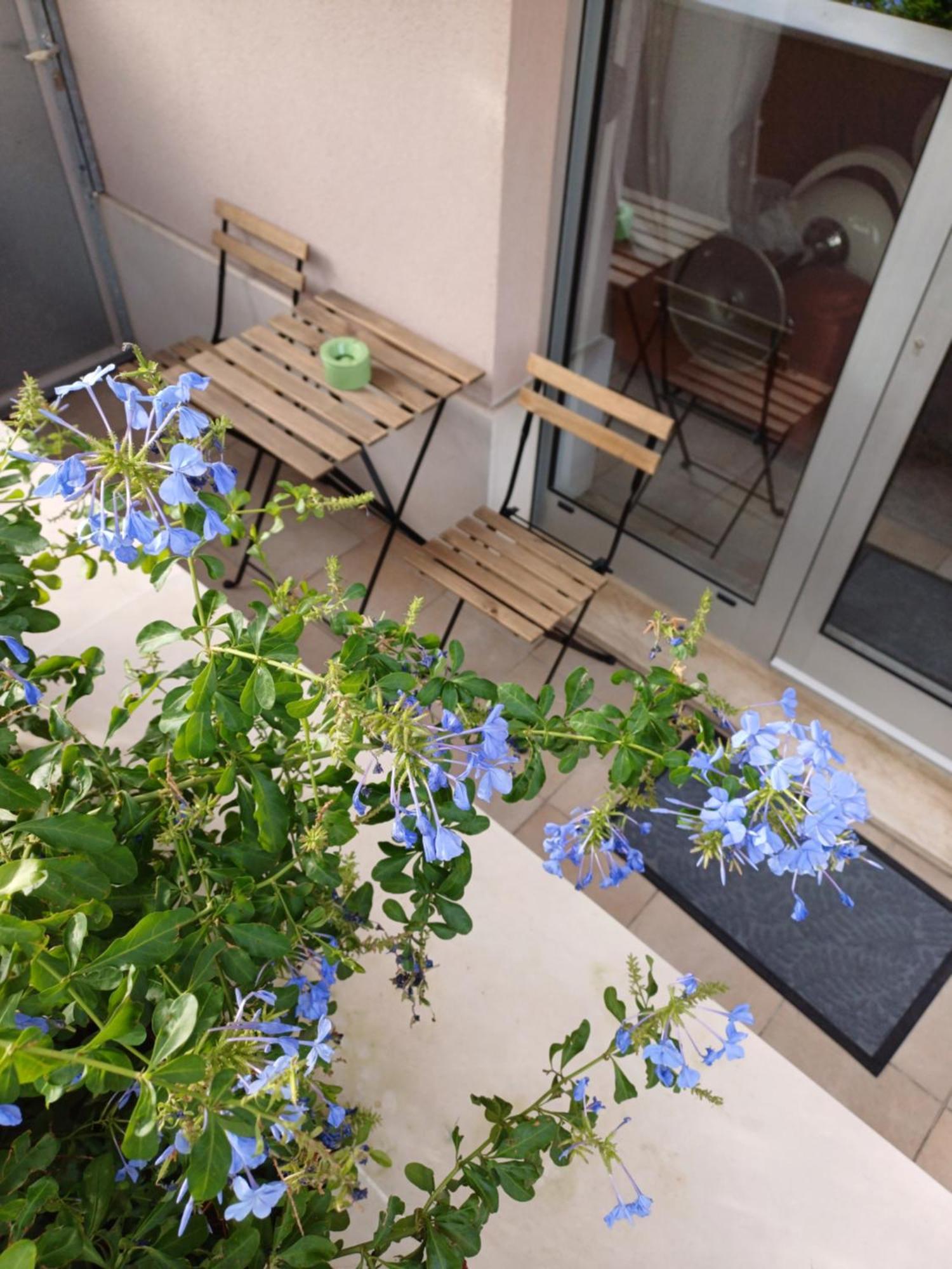 Apartment Zenta With Free Private Parking سبليت المظهر الخارجي الصورة